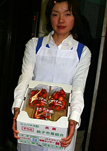 �W�����@�R���t�B�`���[��