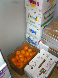 �I�����W