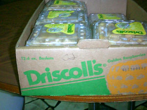 �S�[���f�����Y�x���[