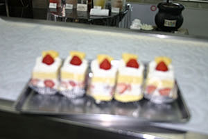 �p�V���[�g�P�[�L�Q�X�S�~��