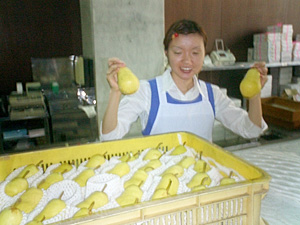 洋梨 パートレット