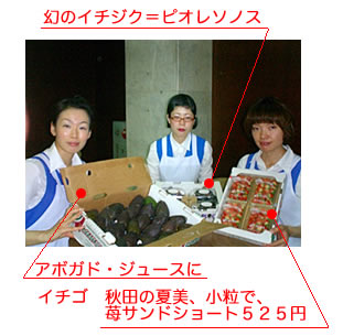 �A�{�K�h�A�҂��ꂻ�肦���A�H�c�̉Ĕ�