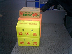 �я�����