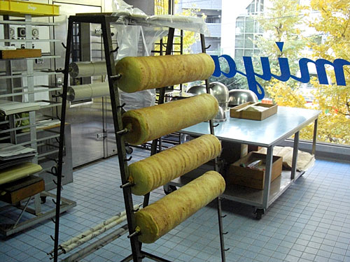 �o�E���N�[�w��