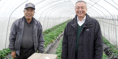 �Ȗ؂̃C�`�S��