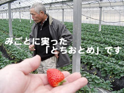 �Ƃ����Ƃ�