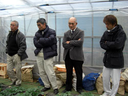 �v���t�F�b�V���i��