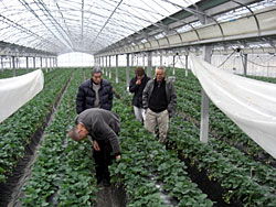 �v���t�F�b�V���i������