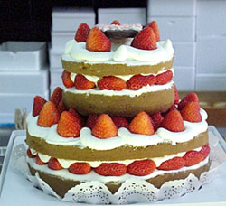 �����C�`�S�R�i�d��