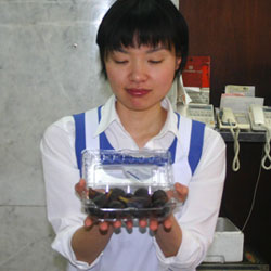 ��������