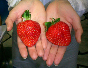 �嗱������