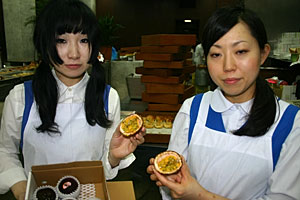 �p�b�V�����t���[�c