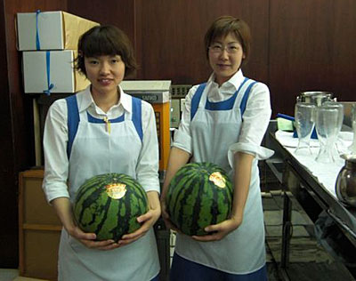 �����́@�X�C�J