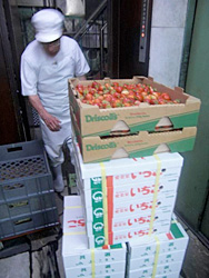 �ߍ]���ɔ���