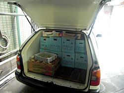 �ʕ������ς������̂���