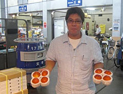 �l�N�^����