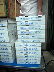 �x�ǖ�Y�C�`�S