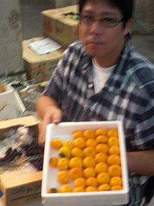 �c�g������