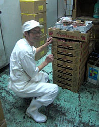 �܂�������