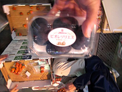 �т��肻�肦��