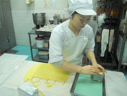 �J���s�X�o�^�[