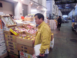 �~�J���̐l