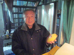 �^�C�̃}���S�[