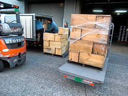 �ؔ��̃����S