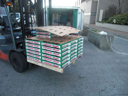 �t�����{���[�Y