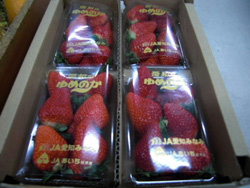 ��߂̂��̑嗱