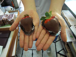 �C�`�S���`���R