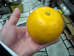 �͂�����