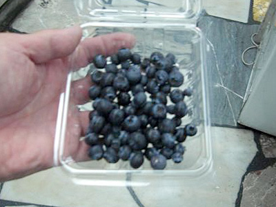 �u���[�x���[