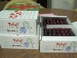 ���̂�������