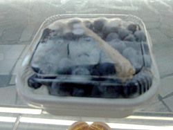 �u���[�x���[�{�[�g