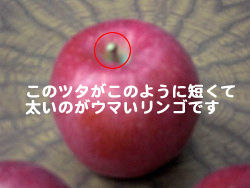 �����t�W