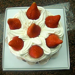 �U���V���[�g�P�[�L