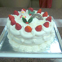 �N���X�}�X�V���[�g�P�[�L�W��