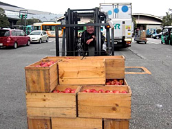 �����S�Ǝ�