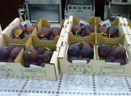 �����̎d����