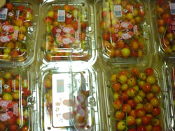 �T�g�E�j�V�L