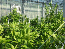 �~�J����