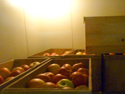 �����S�@����