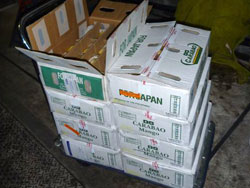 �t�B���s���E�}���S�[