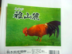 �ʎq�@��R�[