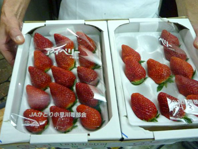 �A�C�x���[