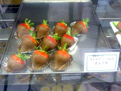 �X�g���x���[�`���R