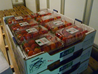 �J���t�H���j�A�̂�����