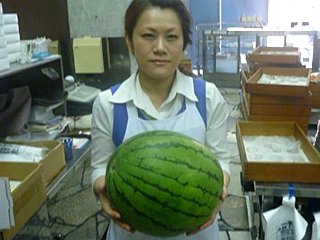 ���F���X�C�J