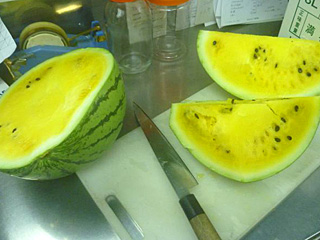 ���F���X�C�J